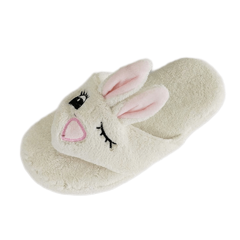 Cute soft flip-flop house slipper for ladies