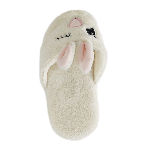 Cute soft flip-flop house slipper for ladies